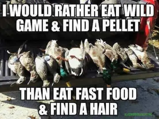 i would rather eat wild game and find a pellet than eat fast food and find a hair