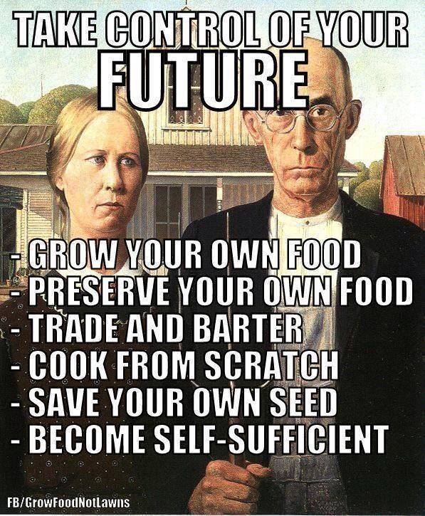 take control of your future grow your own food