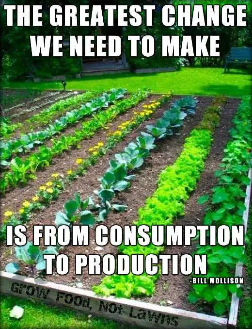 the greatest change we need to make is from consumption to production long