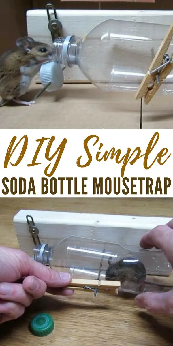 DIY Simple Soda Bottle Mousetrap - This DIY mouse trap gives you some options when the mice start coming and carrying disease along with them. This is a simple trap that can be made with your trash! That makes it an even more interesting model.