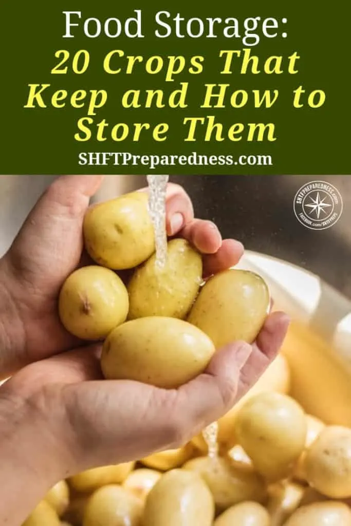 20 Crops That Keep and How to Store Them - Food storage is my families top priority it always has been and probably always will be. I feel pretty confident that in 5 years we will be spending minimal on our groceries.