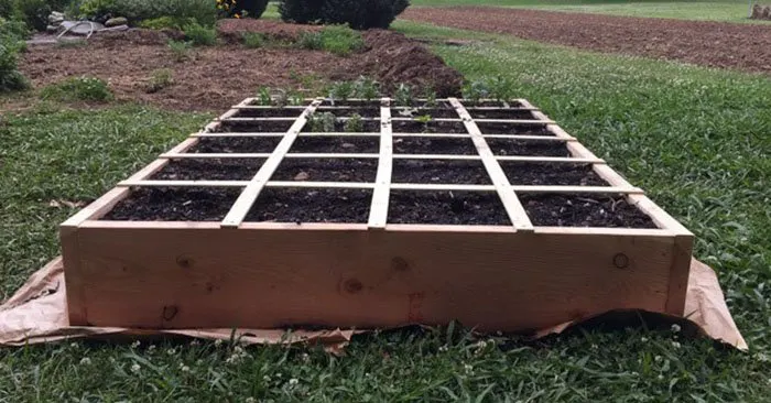 How to Build a Simple Raised Bed - This raised bed is model after the square foot gardening method. You will find that building your own raised bed is very cheap and easy to build. These little beds will change your gardening resume. I was growing food before raised beds but now I am growing multiple plants to excess.