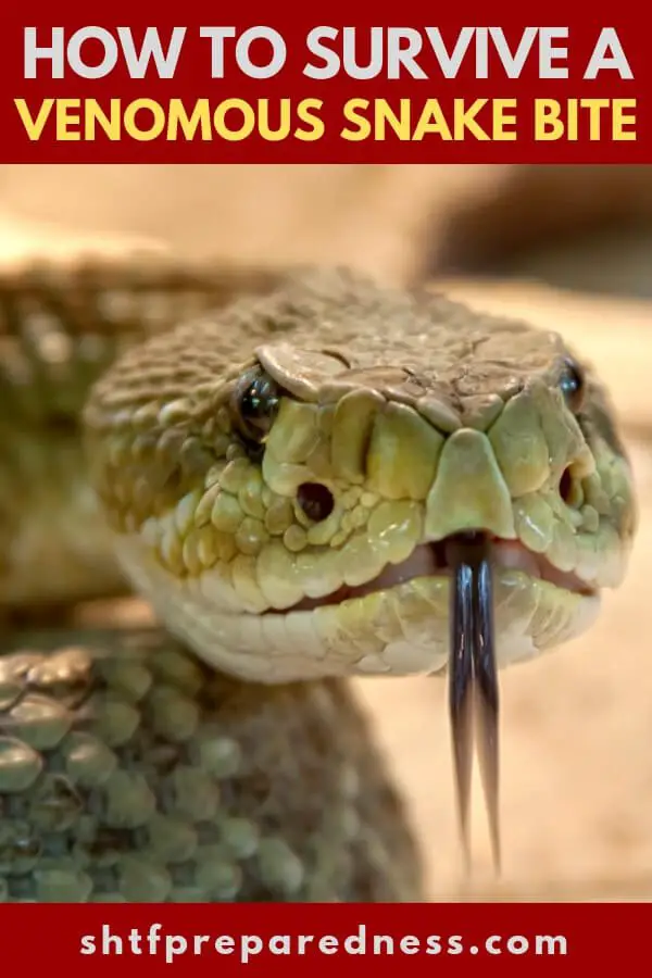 How to Survive a Venomous Snake Bite - This article talks about how to ID the snake the bites you and what do when the venom is coursing through your veins. Though that venom may not be deadly it could hinder you in such a way that wilderness survival could become an impossibility.