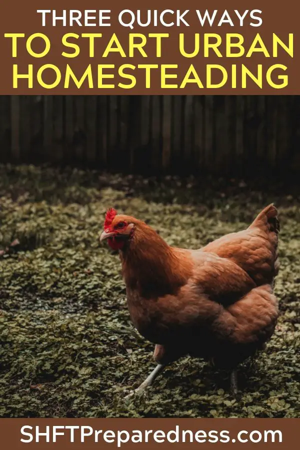 Right now you are sitting in a normal home and thinking to yourself, "how can I get better?" We always want to get better and most who are reading this are just looking to be a little self sufficient. You realize that your home is just a few steps away from being your own urban homestead. 