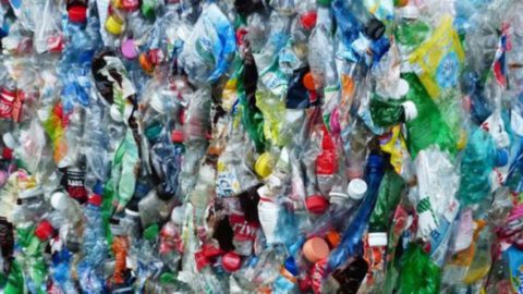 19 Survival Uses for Plastic Bottles