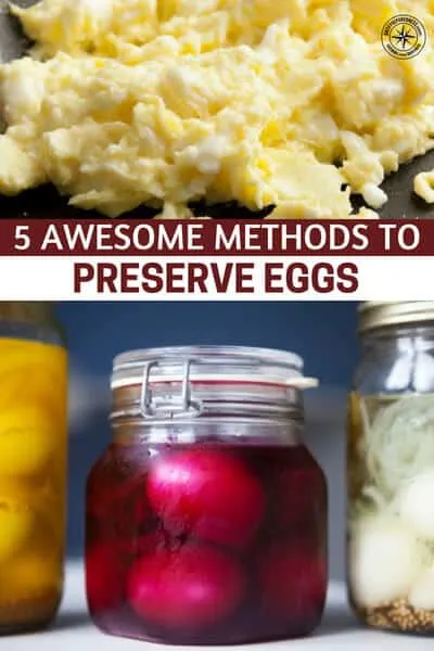 5 Awesome Methods to Preserve Eggs - Eggs are nothing like the canned veggies you buy at the grocery market – their expiration date should be heeded with serious caution as some pretty bad illnesses can be caused by rotten or expired eggs