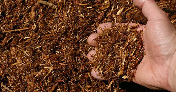 How to Make and Get Free Mulch - This article offers some great advice on the subject of mulch. It offers great ideas for items to be used as mulch. What I really enjoyed about this article are the many ways the author gets his mulch for free. There is only one thing better than mulching your plants and that's using free mulch to do it.