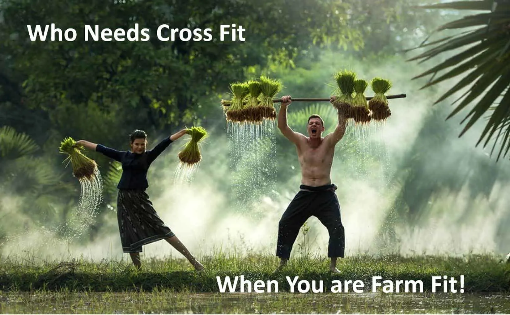 Who needs cross fit when you are farm fit!