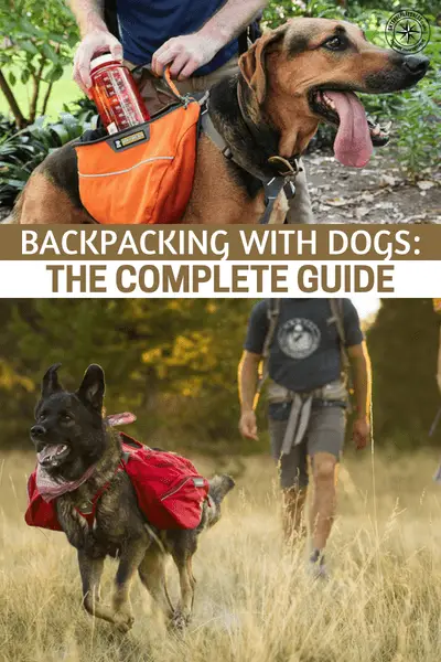 Backpacking with Dogs: The Complete Guide - This is a great guide about backpacking with dogs. You will find information in this article about properly caring for and handling a dog in the wild. Our dogs are our responsibility and it takes some planning to do it right. Read on and get prepared.