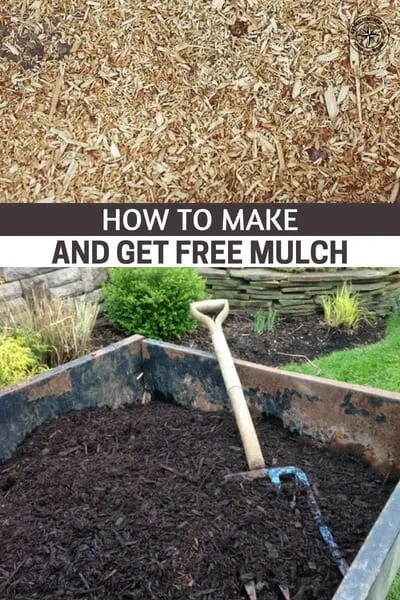 How to Make and Get Free Mulch - This article offers some great advice on the subject of mulch. It offers great ideas for items to be used as mulch. What I really enjoyed about this article are the many ways the author gets his mulch for free. There is only one thing better than mulching your plants and that's using free mulch to do it.