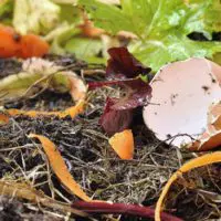 What Should Not Be Put In Your Compost - People around the world now want to reduce their carbon footprint. What better way than to recycle waste and give back to the earth.