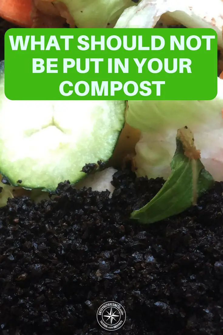 What Should Not Be Put in Your Compost SHTFPreparedness