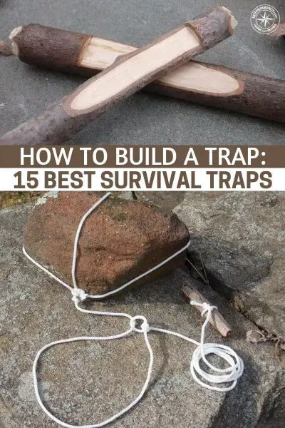 How to Build a Trap: 15 Best Survival Traps - Knowing how to make and set traps is a need to know skill for any outdoor person, in fact scrap that, it is a skill I wish EVERYONE would learn.