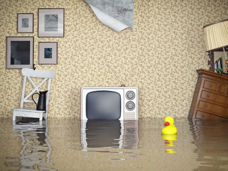 When a natural disaster, like flooding, strikes, you might not have much control. Remember these flood safety tips, and you'll avoid much of the trouble.