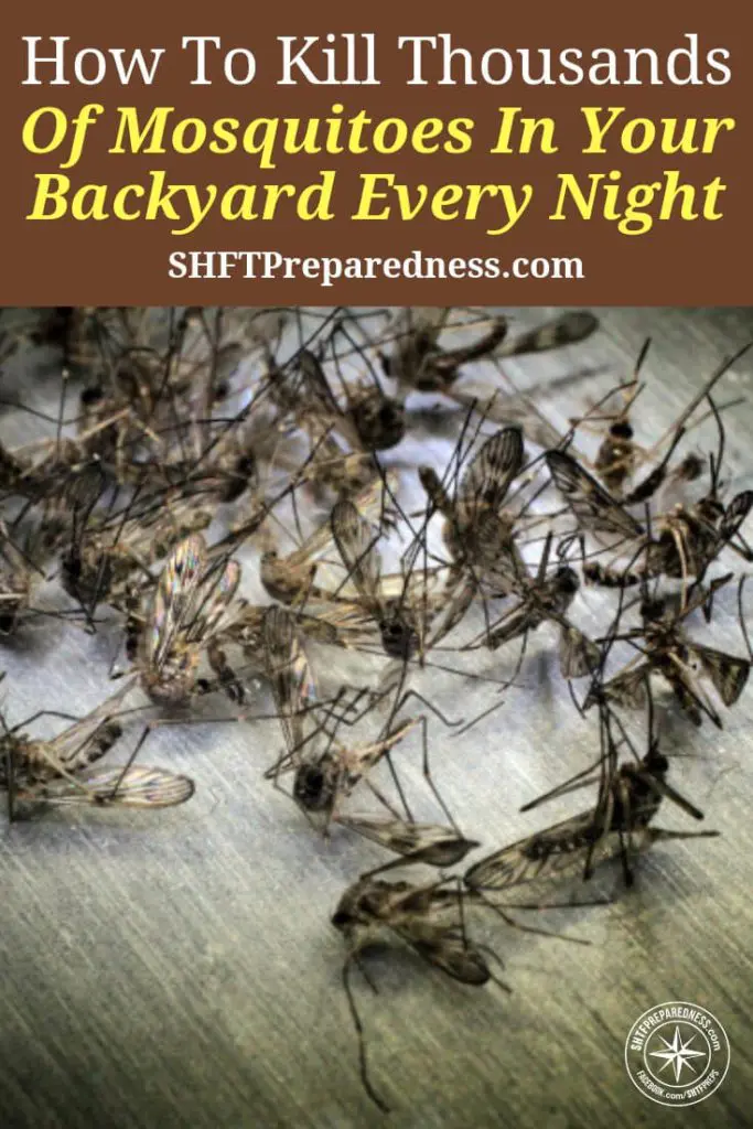 How To Kill Thousands Of Mosquitoes In Your Backyard Every Night - Not only are mosquitoes one of the most annoying things in the world they are also carriers of incredibly dangerous diseases. The thing we forget about management of mosquitoes is that they are poisoned in mass all the time by our local governments.