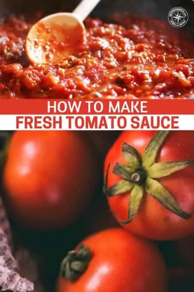 How To Make Fresh Tomato Sauce (Italian Secret Recipe!) - It was safe to say that this recipe rocked our taste buds. It’s a hassle to make any sauce from scratch but let me tell you now that it is so worth the time and effort to make this.