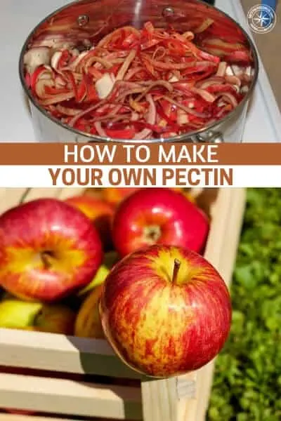 How to Make Your Own Pectin - Making homemade pectin is one of those things you can do to save some money and to learn as a self-reliance skill.  If there was ever a time when the stores are closed or sold out, knowing how to make pectin would be a very valuable skill that could help your family and community preserve food.