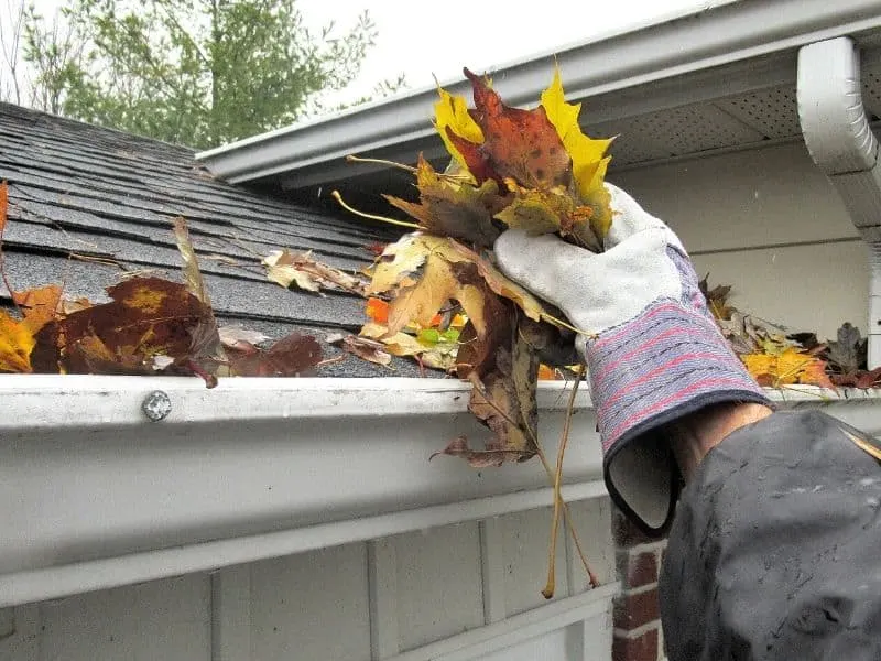 Man cleaning gutters