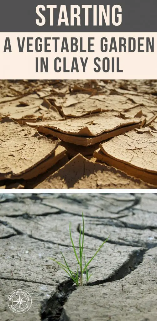 Starting a Vegetable Garden In Clay Soil