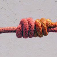 Top 7 Knots You Should Know For Survival - This is a great article on 7 knots that are all pictured in the article. There are brief descriptions about the value of each knot as well. You can take wrangle your knot tying skills back from the clutches of history. With very little practice you can become a paracord wizard.