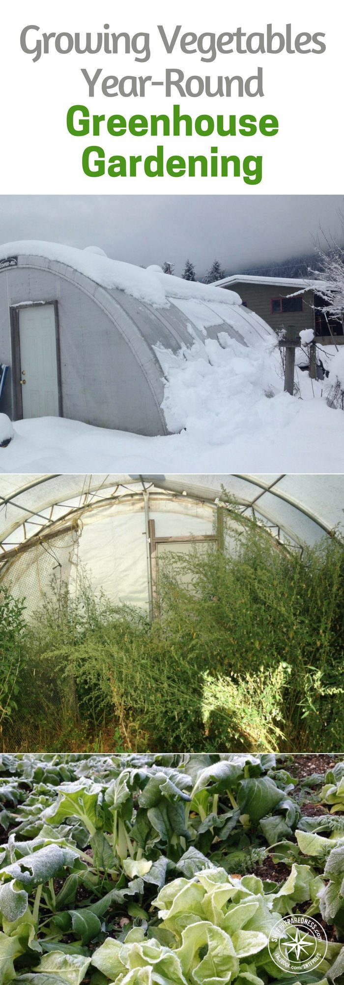 Greenhouse Gardening: Growing Vegetables Year-Round