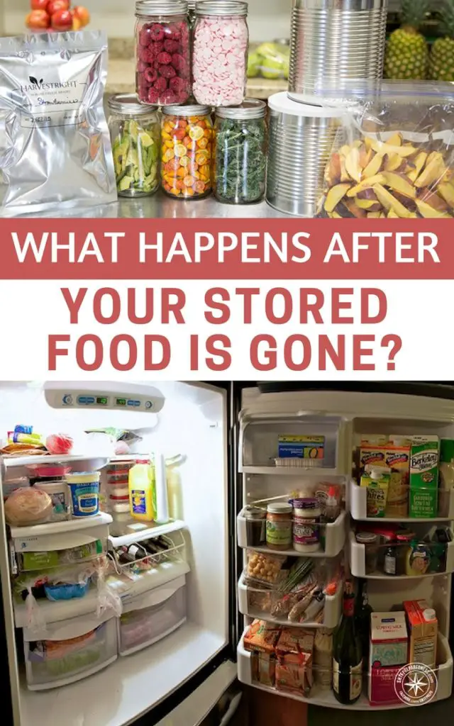 What Should You Do After Eating Gone Off Food What Should You Do After Eating Gone Off Food
