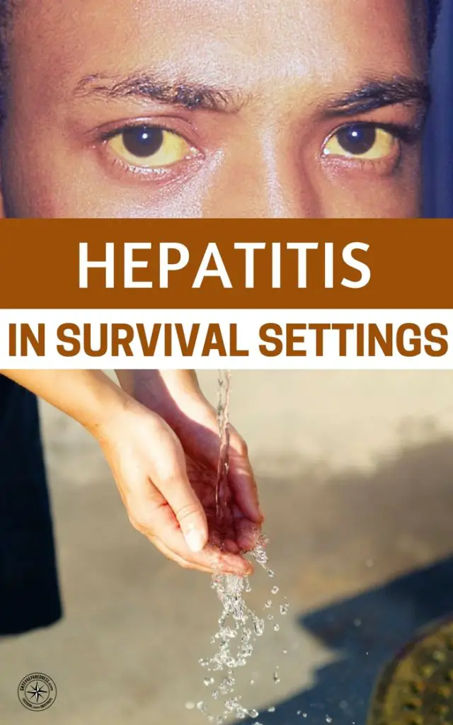 Hepatitis in Survival Settings - Infection is certainly to be expected in a survival series. Its an issue that we really look past in return for preps that are more noticeable and violent.