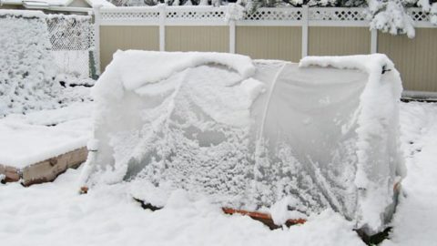 How To Make A Hoop House That Will Stand Up To Snow