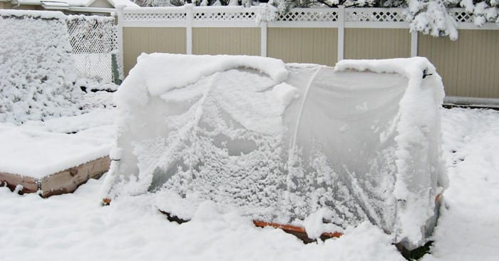 How To Make A Hoop House That Will Stand Up To Snow - Make a cold frame hoop house using concrete reinforcing wire mesh which is more robust than PVC, can withstand a greater amount of weight and is cheap!