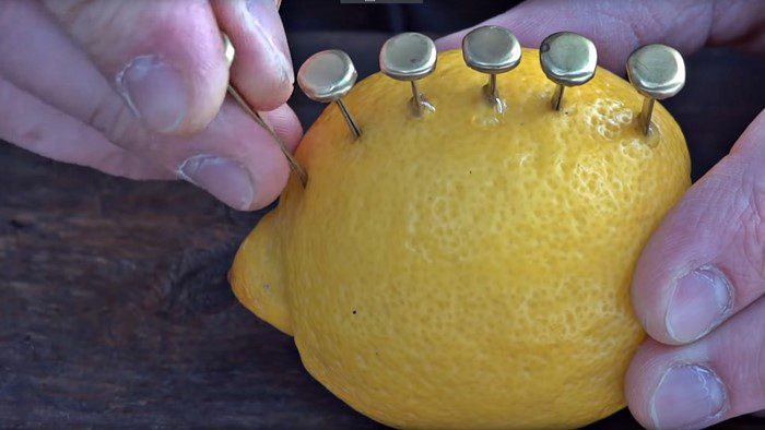 Step 1: insert copper clips into lemon in a row along the length without touching