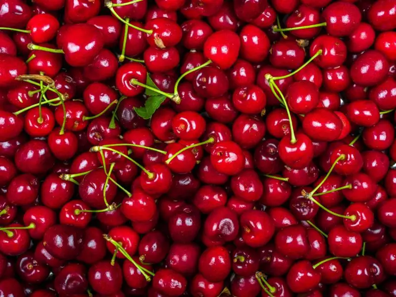 Ripe cherries