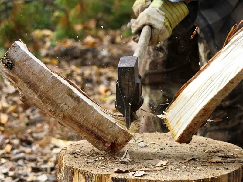 Preparing firewood for a campfire