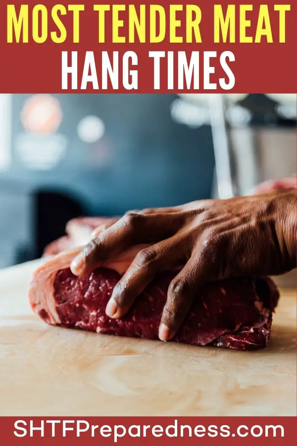 Most Tender Meat Hang Times - If you are new to managing game meat you will find this article very interesting and helpful. It is all about hanging the meat for a certain amount of time. If you want a resource for hang times, this article will be that for you.