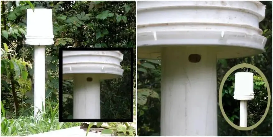 5-gallon bucket beehive