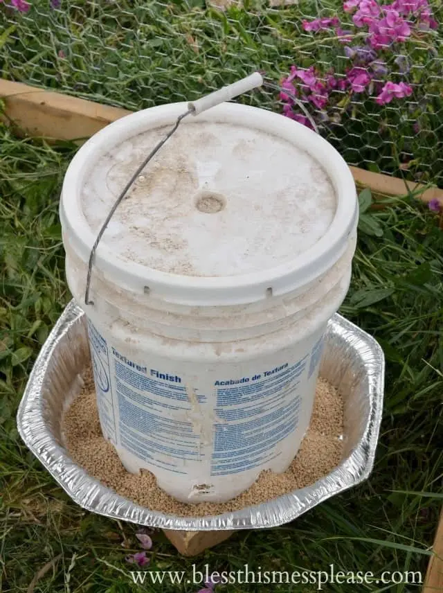 5-gallon bucket chicken feeder