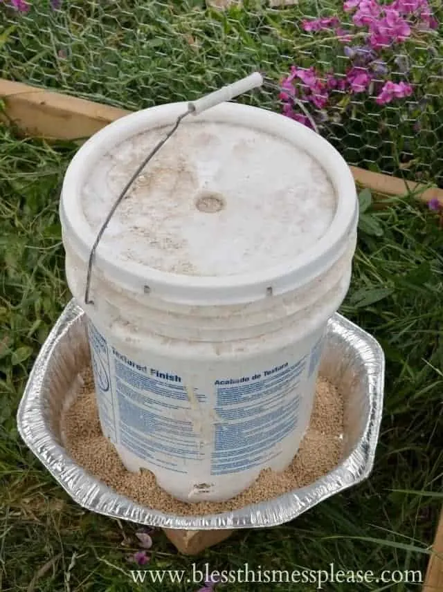 5-gallon bucket chicken feeder
