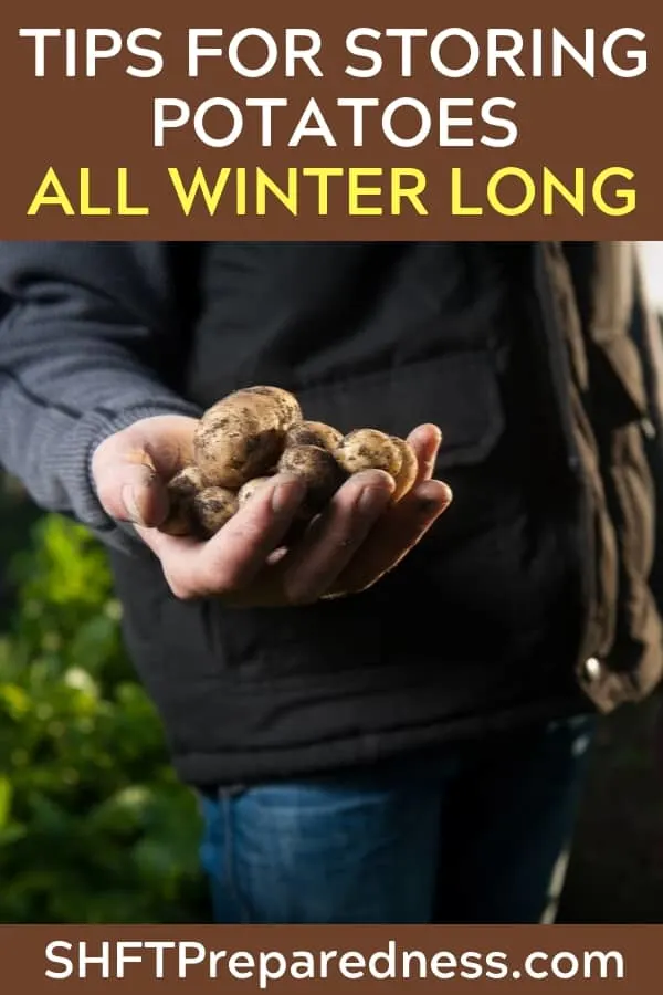 Tips for Storing Potatoes All Winter Long — When it comes to feeding your family from your own garden potatoes are King! I have read many sources that say you should be planting at least 1/3 of all your garden space to potatoes.
