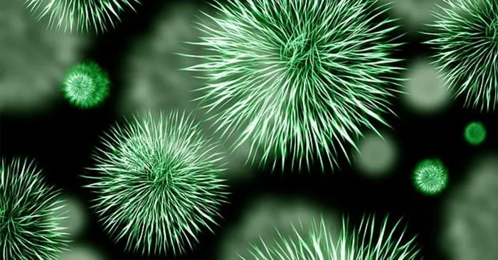 7 Most Likely Infections You’ll Catch When The SHTF - Organisms that can cause illness are all around us; in our food, water and air.  They are in the bodies of animals and other people as well. Infection occurs when some of them get past a series of natural defenses like our skin, inflammation and antibodies.