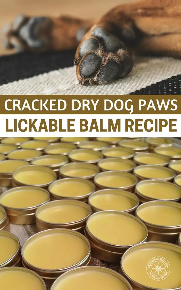 Cracked Dry Dog Paws Lickable Balm Recipe - Remember, our dogs are domesticated. They are charming little beasts but to be honest, they are soft. They are not wolves and many of them are not prepared to make a trek of miles and miles. You may scoff at this but dogs get out of shape too. They get injured and their little pads get beat up. If you don't have an answer for that you may be left with very few options for Fido.