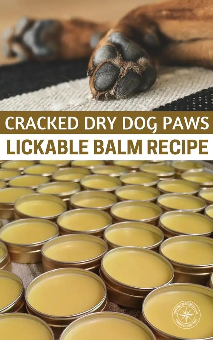 diy paw moisturizer