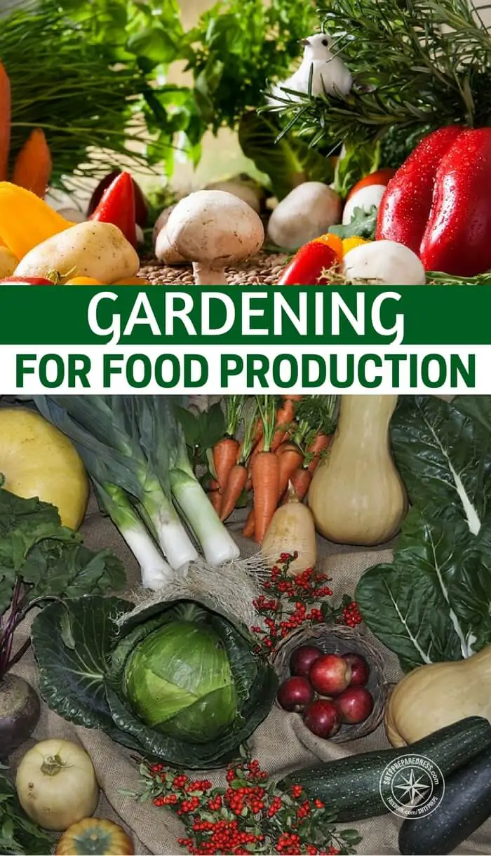 Gardening for Food Production Gardening for Food Production