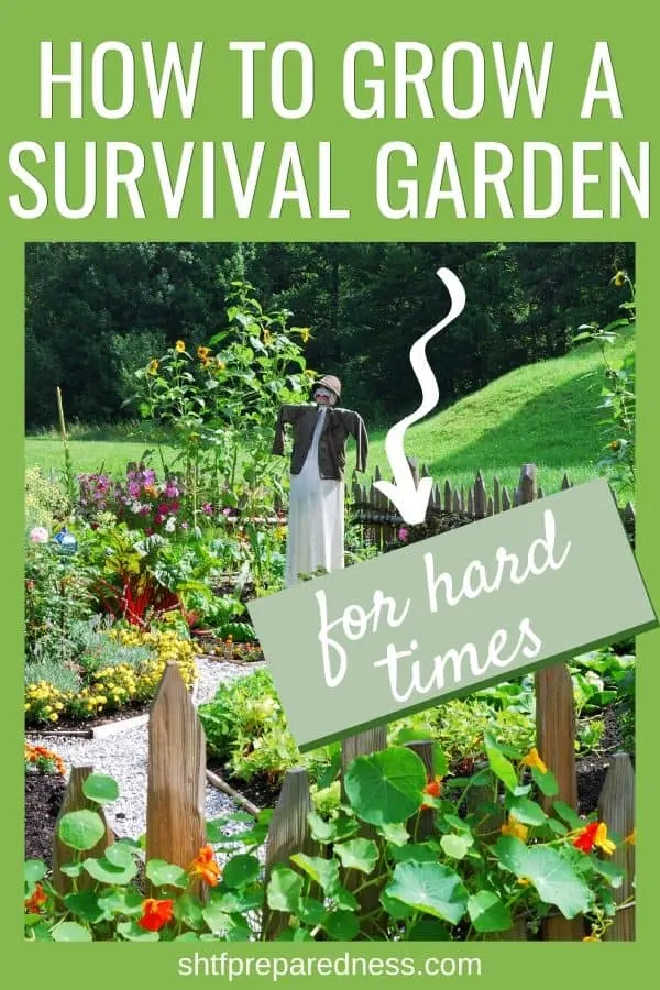 A guide of how to start a survival garden that will feed your family even when disaster strikes.