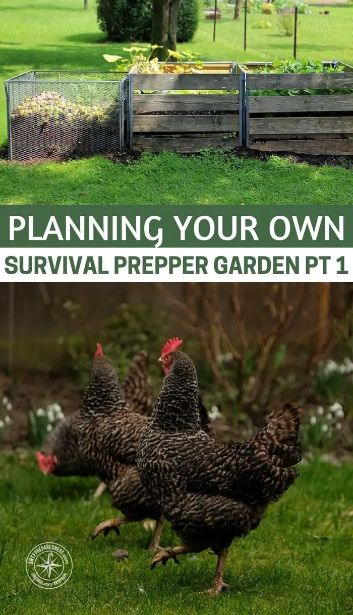 Planning Your Own Survival Prepper Garden