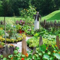 Prepper garden - filled wiht essential veggies and herbs