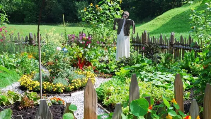 How to Start a Survival Garden