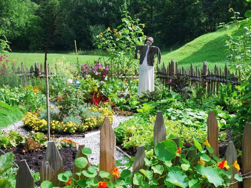 survival garden filled with essential veggies and herbs