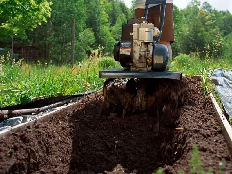 Garden tilling to preparew for planting