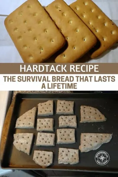 Hardtack Recipe – The Survival Bread That Lasts A Lifetime - One of the reasons hardtack is such an alluring little nibble is because it can basically last forever! Its a mix of water and flour that is dried in the oven and made to be a bit tasteless and hard as a rock. It might even be able double as body armor! Hardtack, it would be a great food in a survival situation.