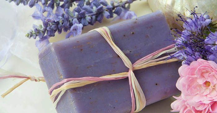 Homemade Hair and Body Care - You can take your freedom back and you can do so with an article like this. Are you aware that all of the hair and body care you need, can be made right in your home. Your dependence on products that are designed to make you feel less than, has to stop.
