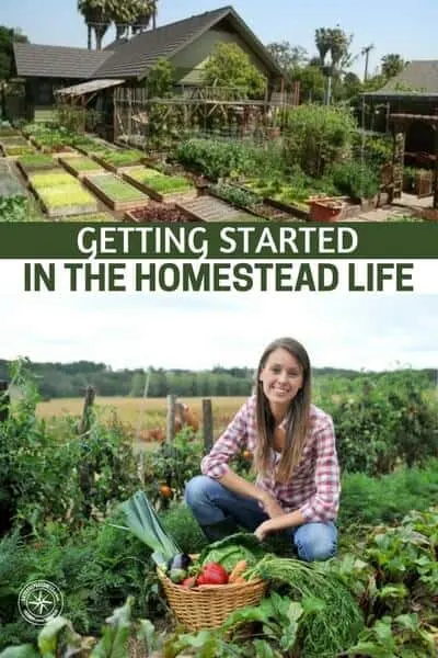 Getting Started in the Homestead Life - If you're stopping by to read this, chances are you've considered—or maybe already are—living the homestead life. While we aren't yet homesteaders ourselves, we've talked with homesteaders over the years and  are steadily heading in the direction of self sufficiency ourselves.